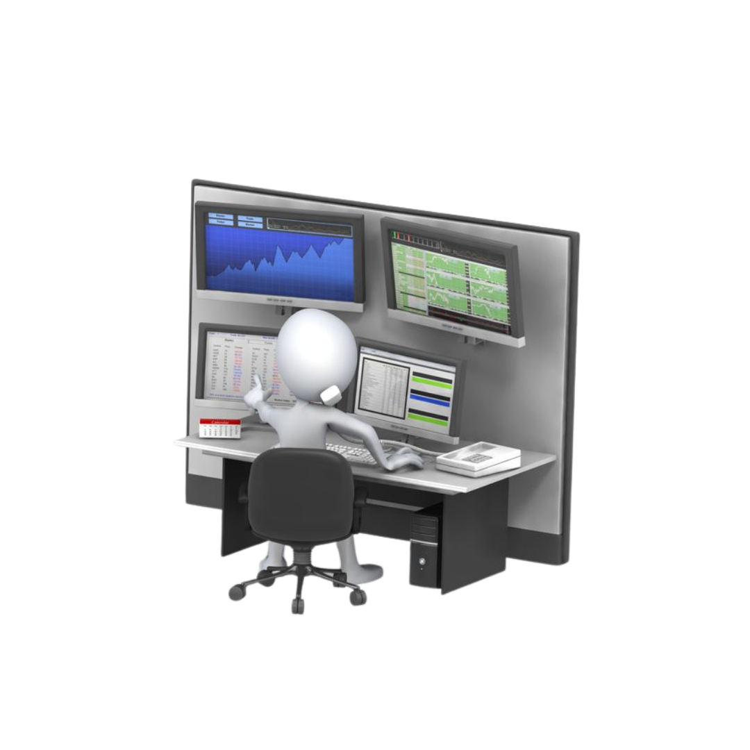 WEB MONITORING